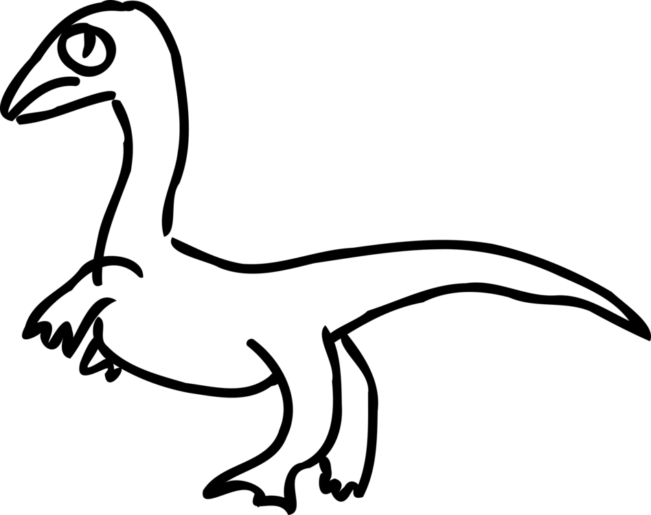 Monochrome photographyduckmonochrome png clipart