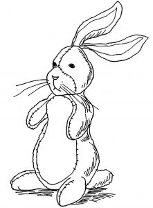 Rabbit bunnies coloring pages for kids