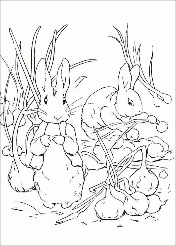 Velveteen rabbit coloring pages animal coloring pages bee coloring pages spider coloring page