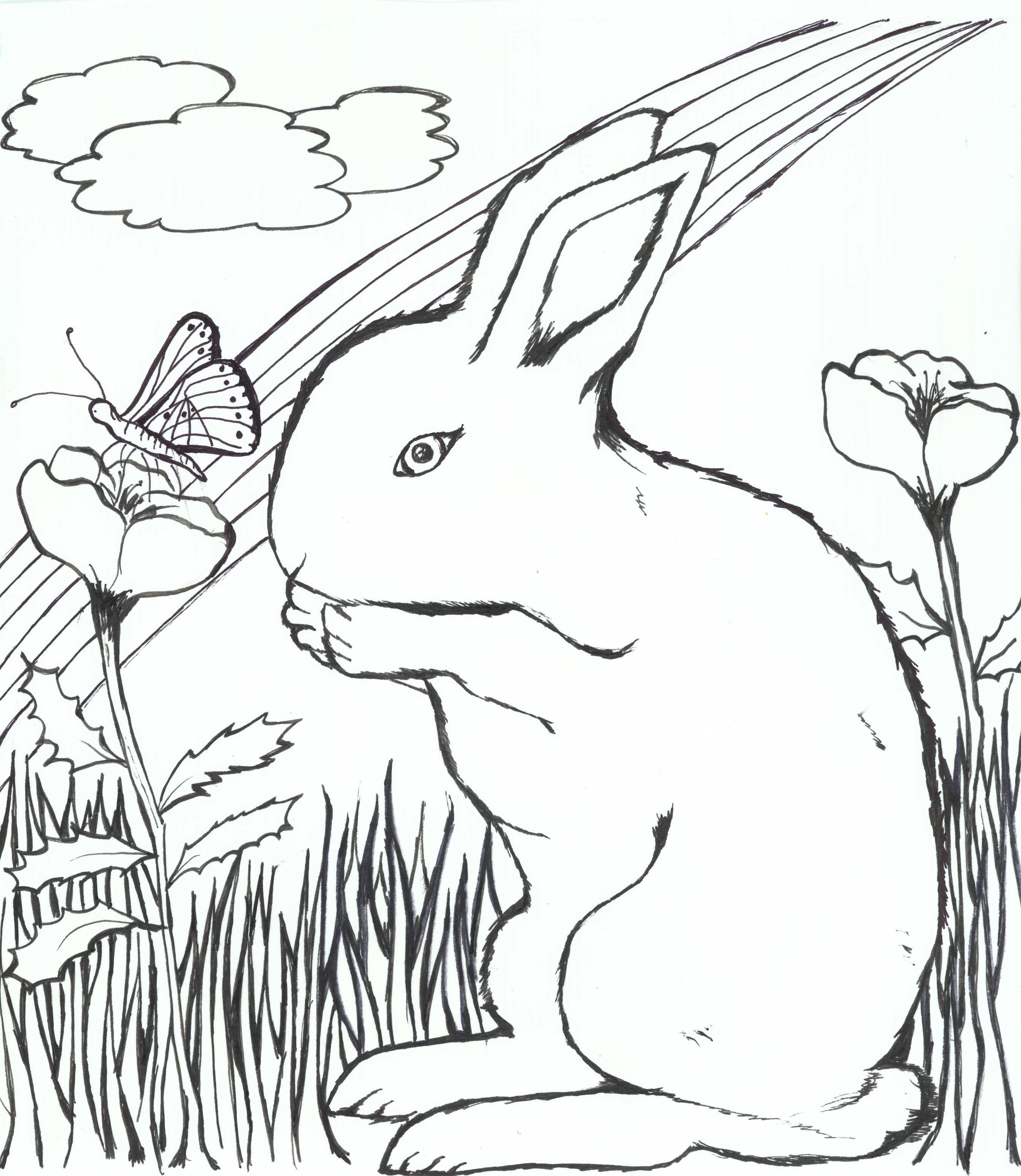 Colouring picture â the rabbit rescuers