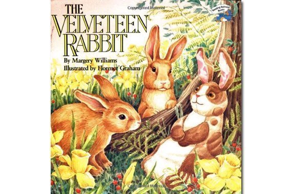 The velveteen rabbit free ebook activities diy homeschooler