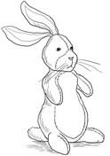The velveteen rabbit coloring pages free coloring pages