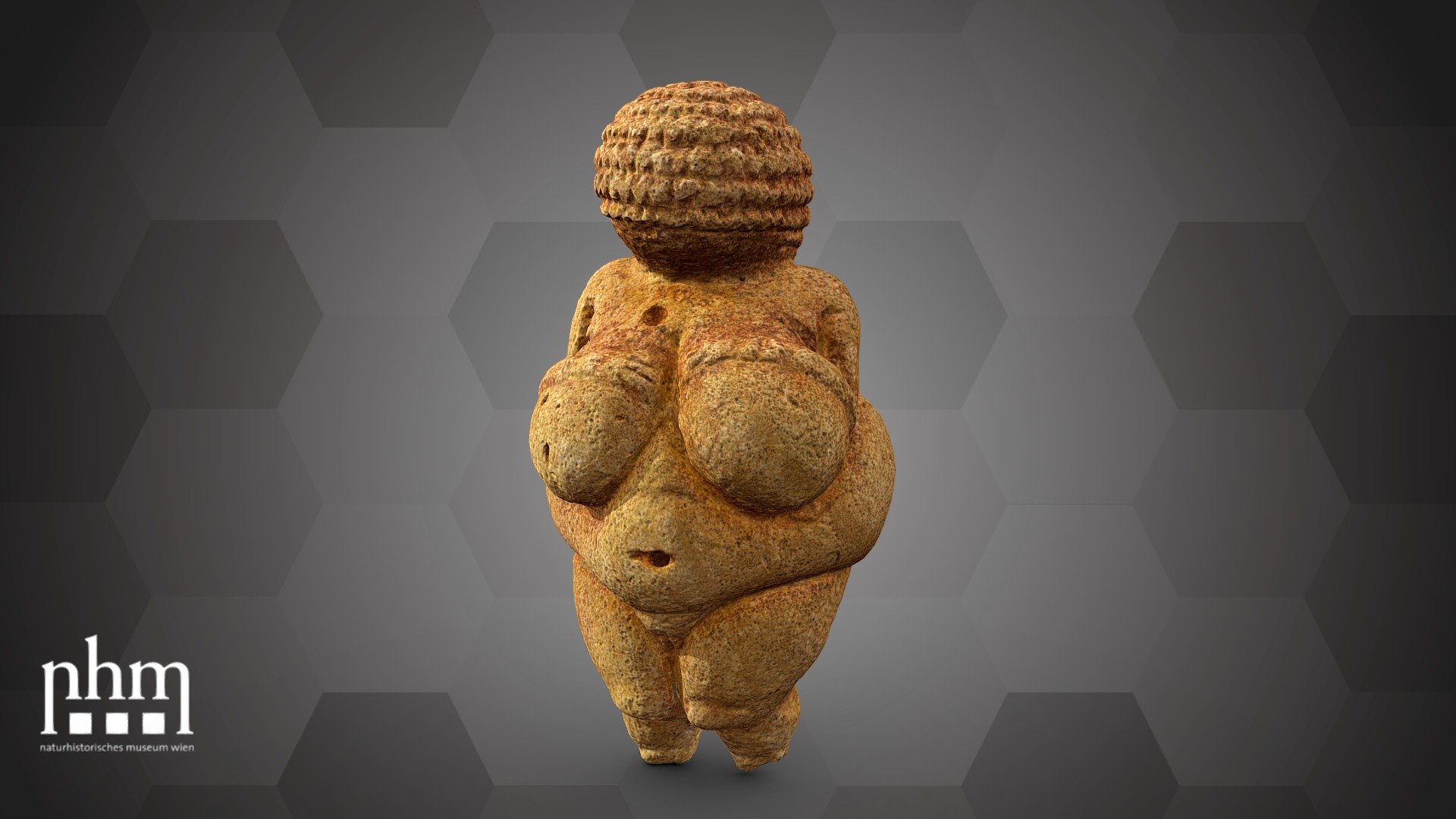 Venus of willendorf