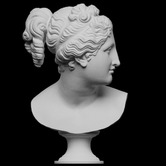 Bust of venus venus italica bust d printed sculpture office decoration shelf decoration desk decor different color size option