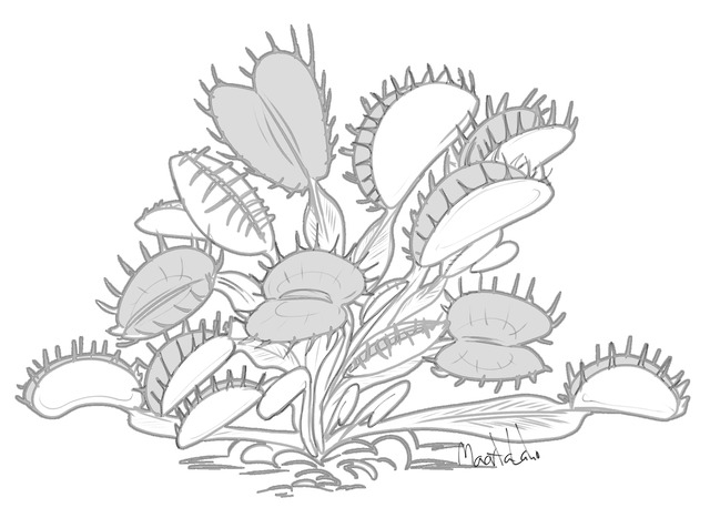 Here be dragons on