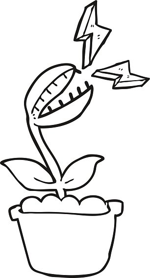 Black and white cartoon venus fly trap stock vector royalty