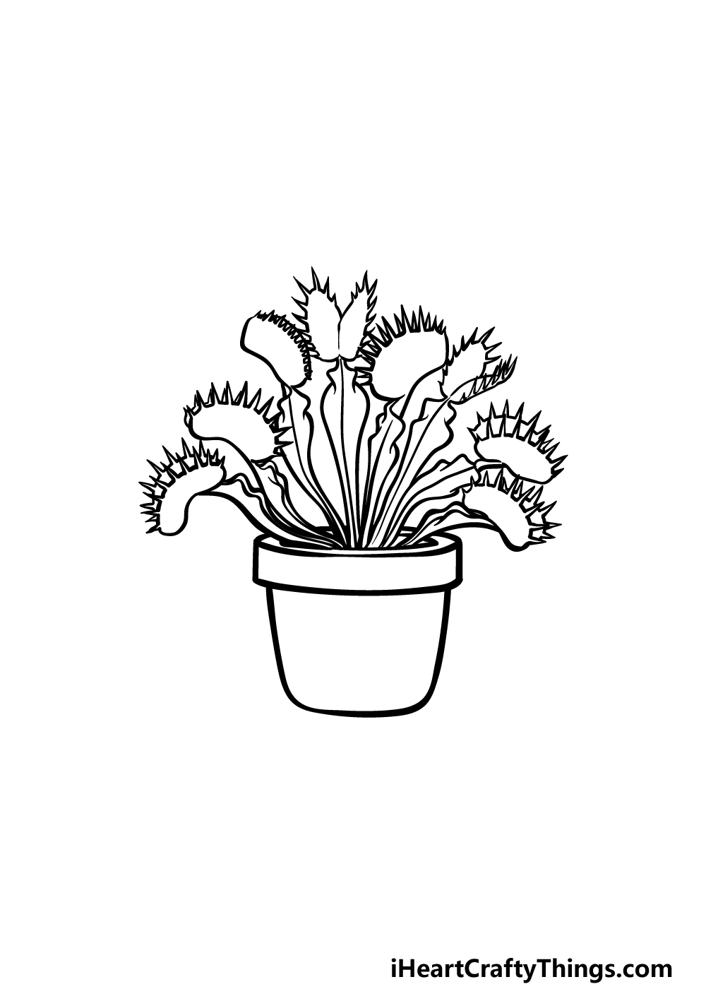 Venus fly trap drawing