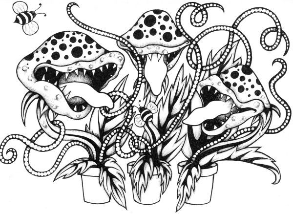 Free venus flytrap coloring pages printable pdf