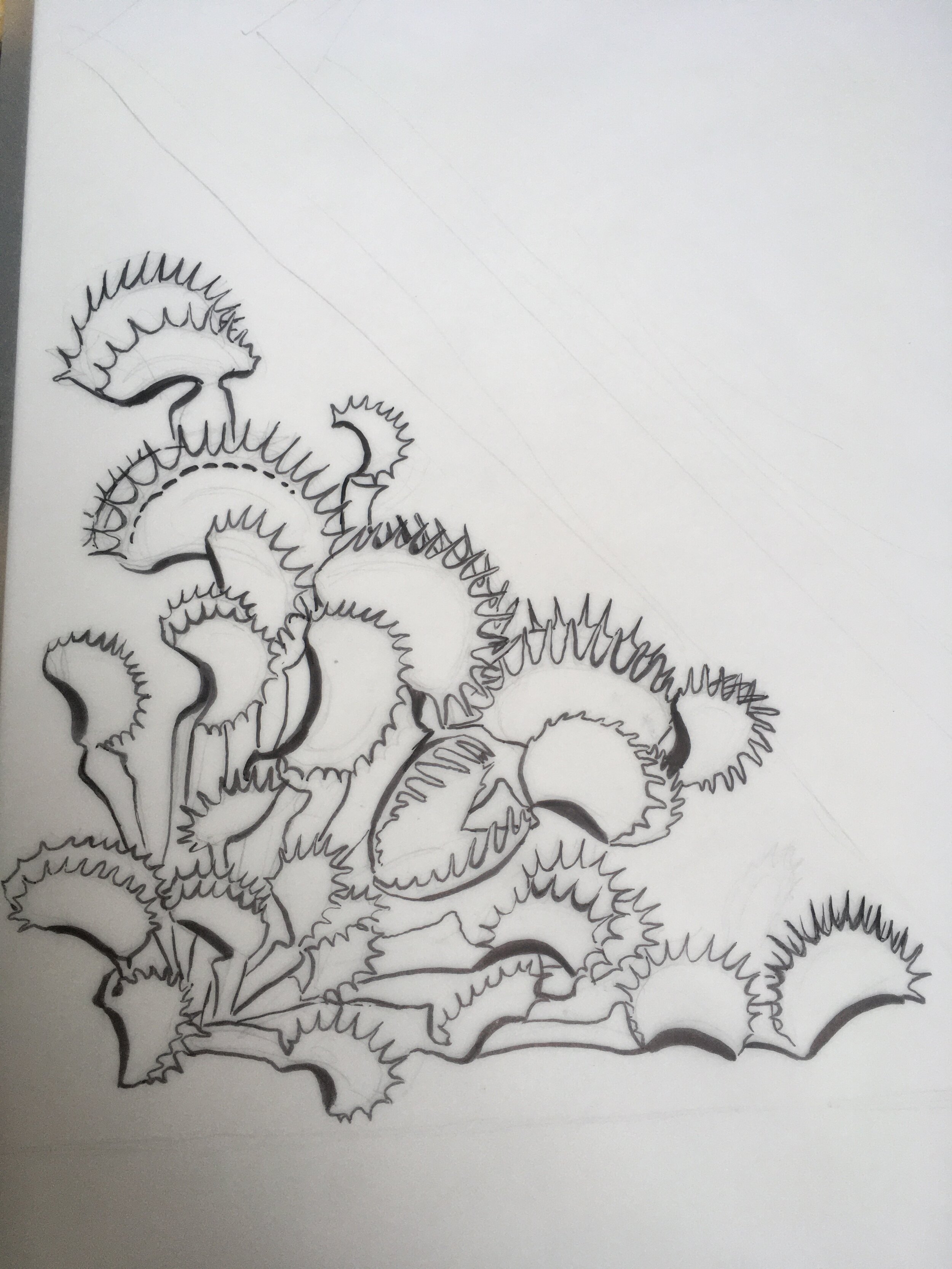 Carnivorous botanical drawing â solstice handmade