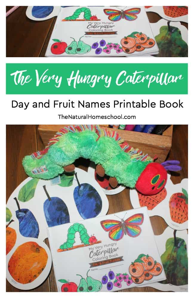 The very hungry caterpillar craft day and fruit names printable book