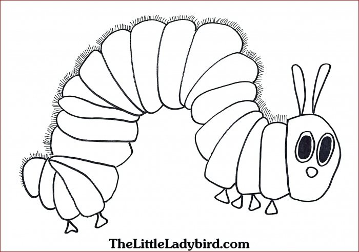 Caterpillar coloring page worksheets