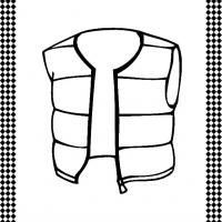 Vest flash card