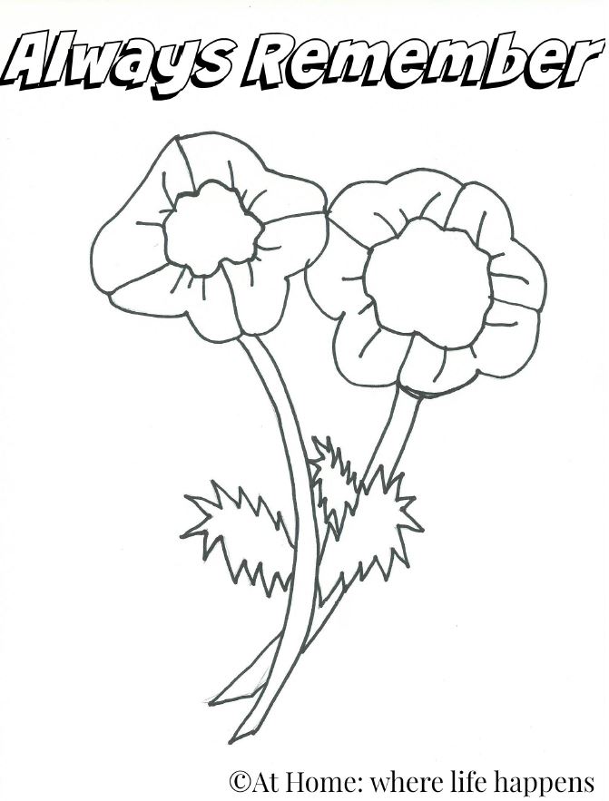 Poppies at home