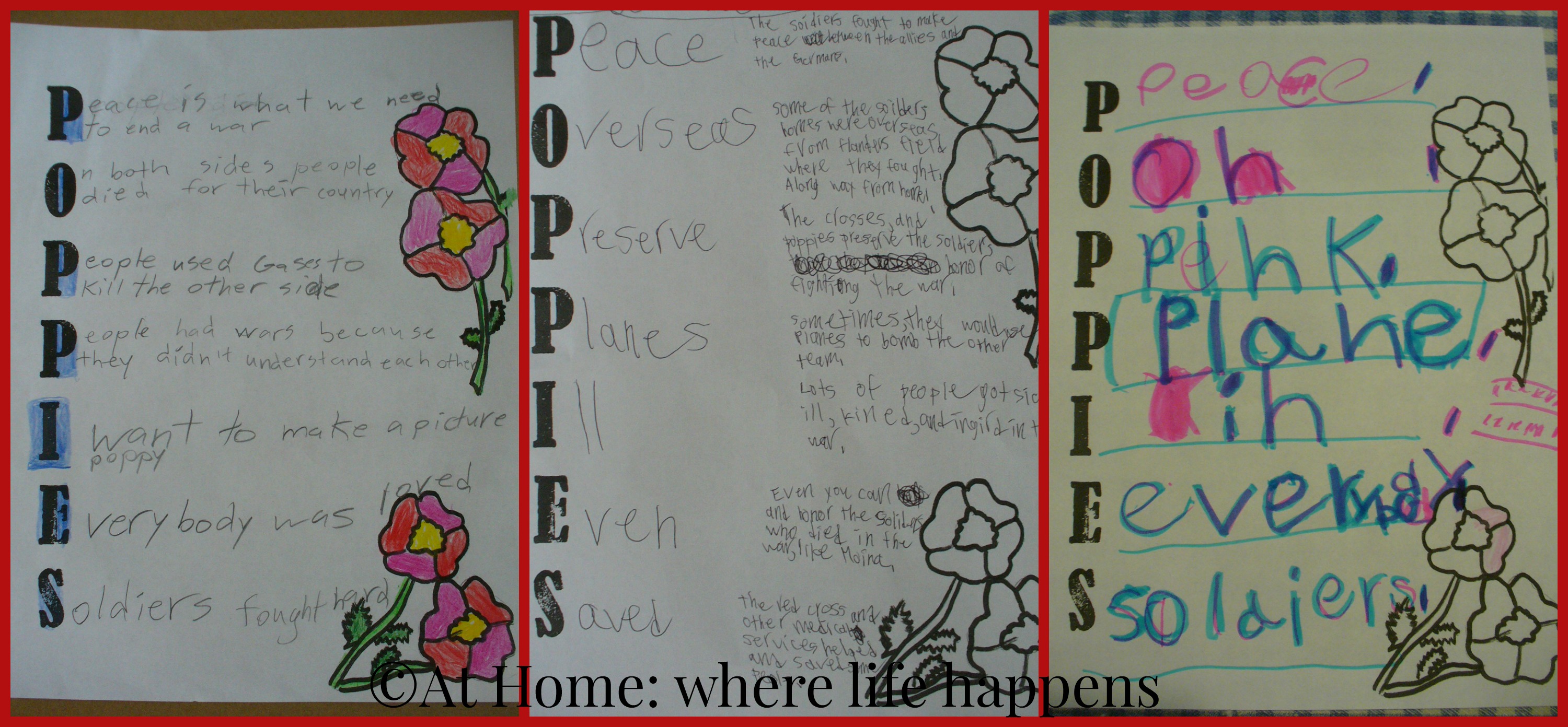 Poppies at home