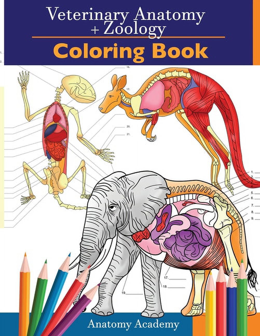 Veterinary zoology coloring book