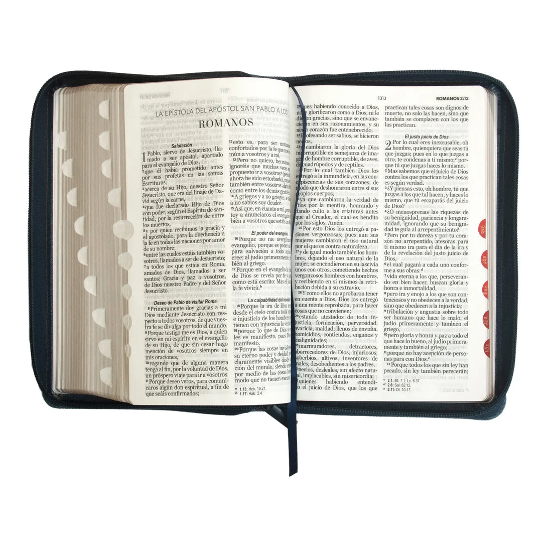 Bible reina valera manual size large print points jean fabric cover â mundo biblia