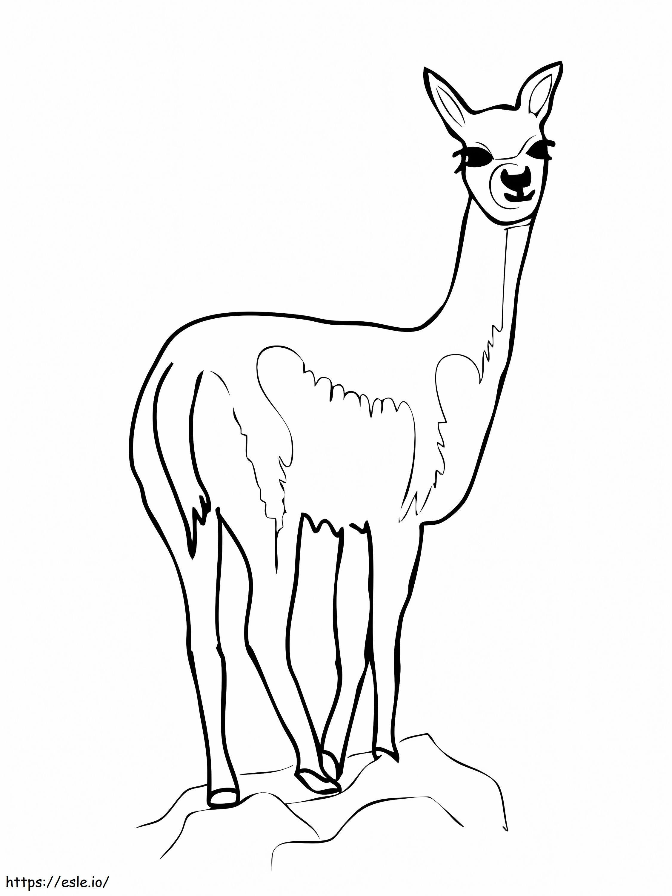 Cute vicuna coloring page