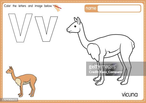 Vicuna high res illustrations