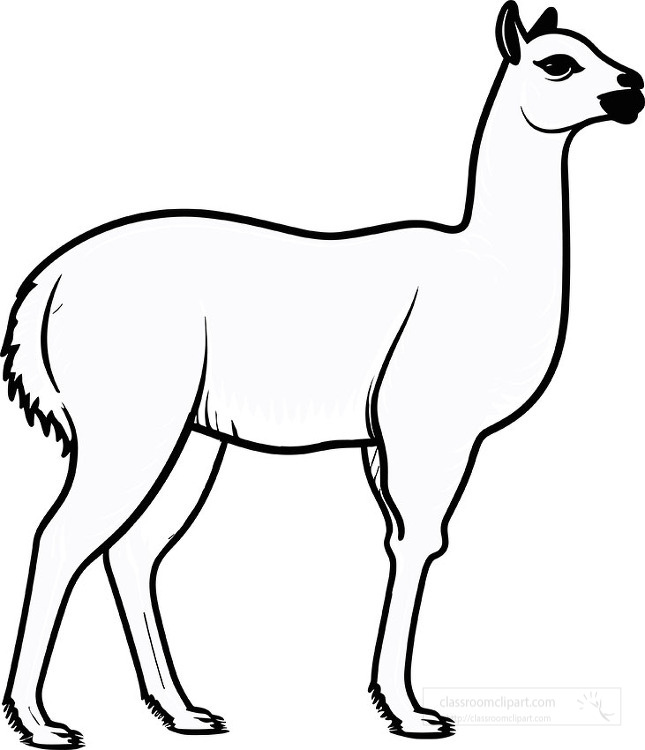 Animal outline clipart