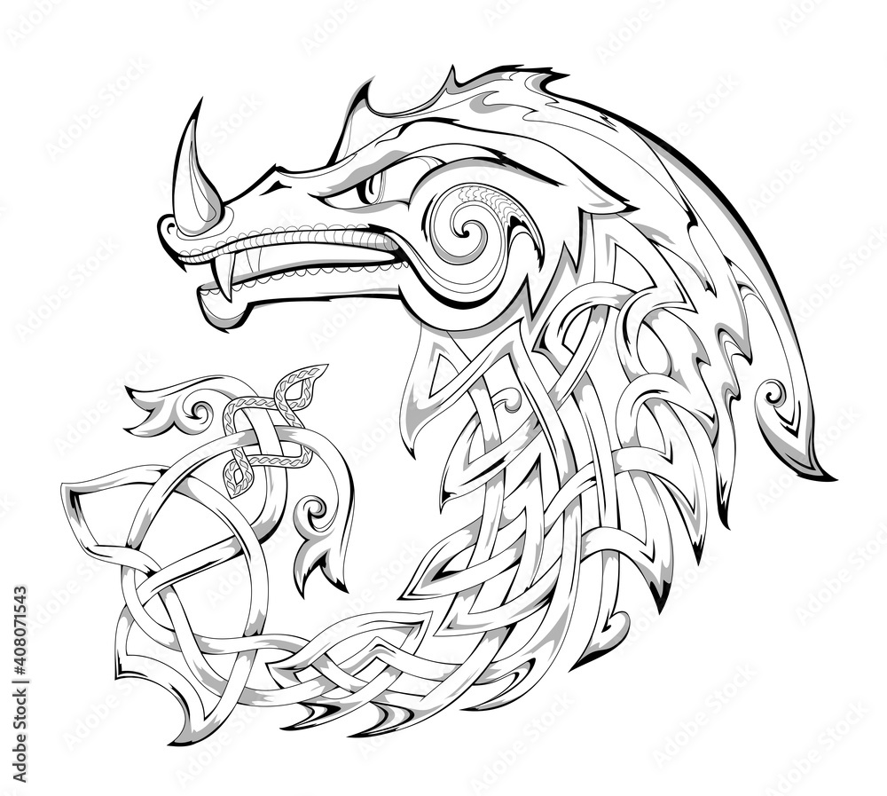 Black and white page for coloring book fantasy illustration of dragon animal from ancient legend with celtic knot decoration print for fabric logo and tattoo sheet for drawing and meditation vector
