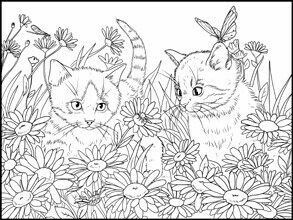 Pin by steph h on cat coloring pages owl coloring pages animal coloring pages cat coloring page