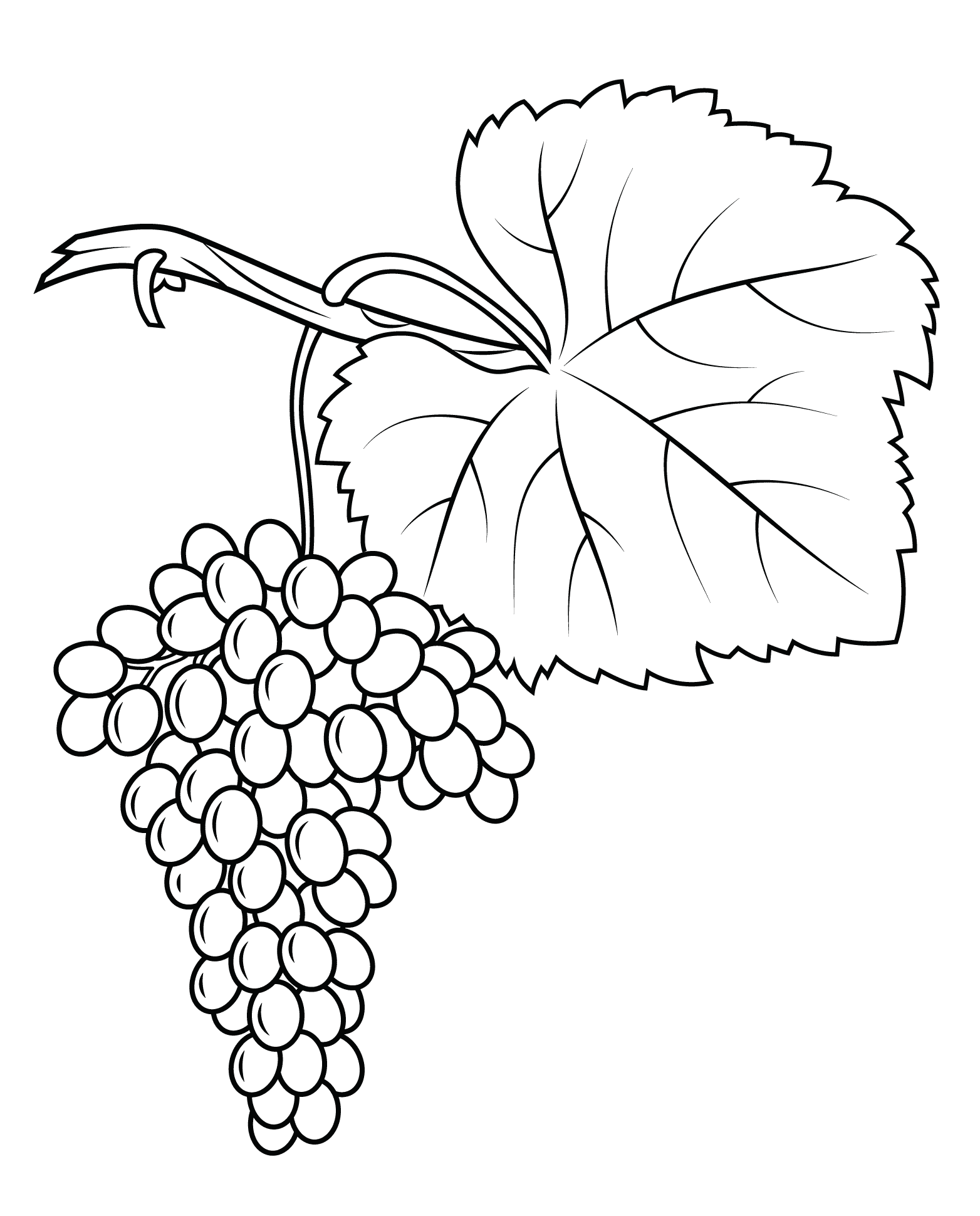 Grapes coloring pages