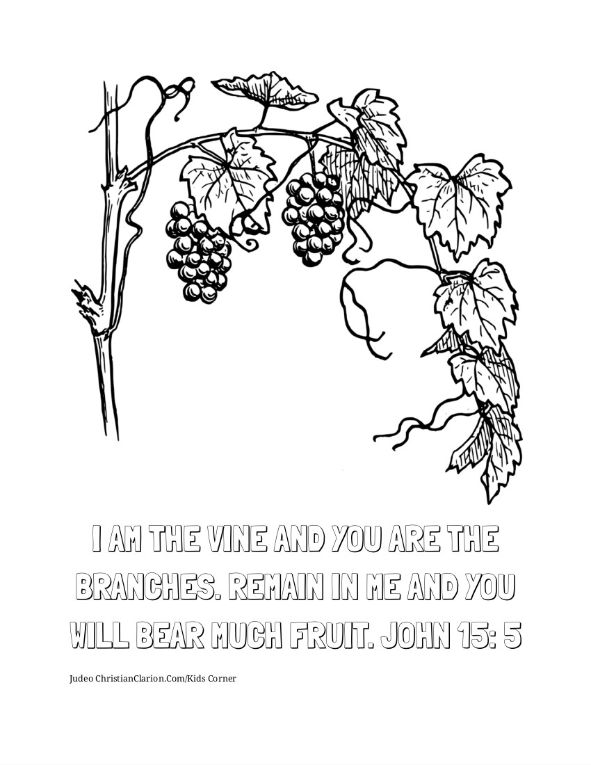 I am the vine you are the branches