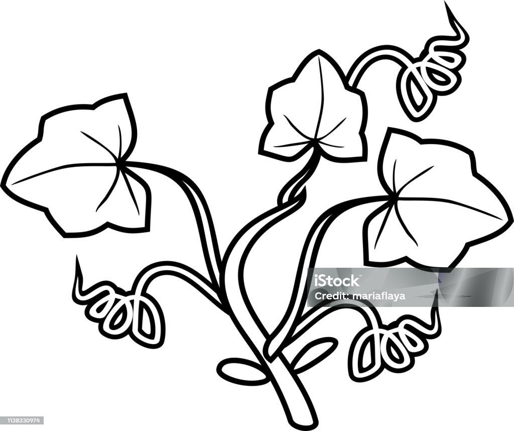 Coloring page with general view of seedling of pumpkin plant isolated on white background stock illustration