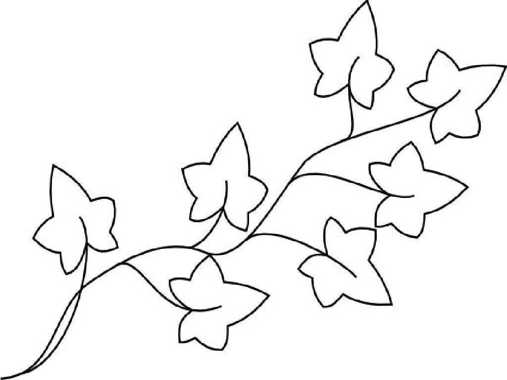 Ivy coloring pages