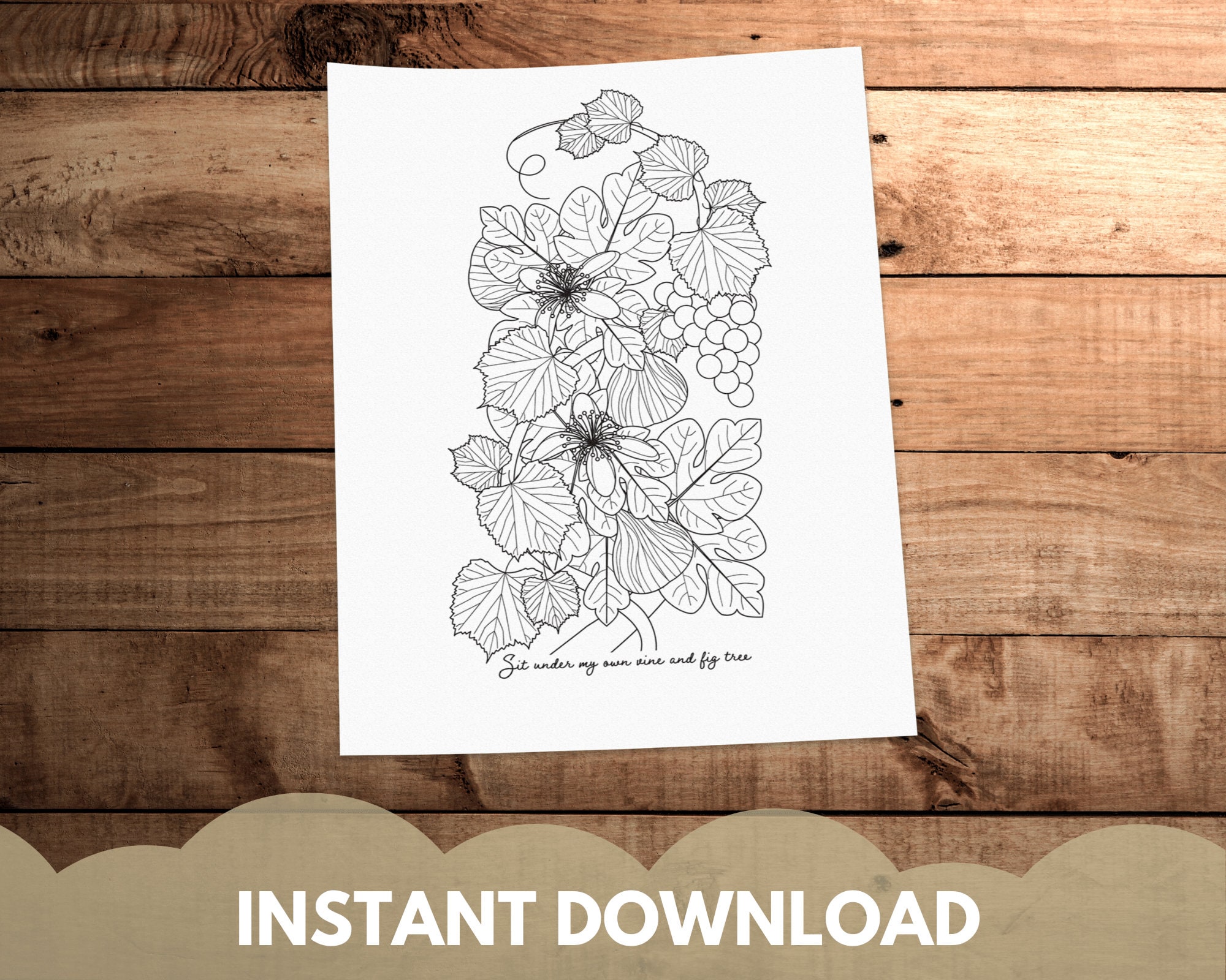 Hamilton inspired coloring pages broadway coloring page adult coloring page instant download pdf vine and fig tree