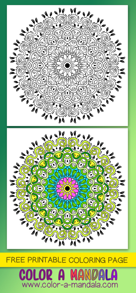 Vine mandala m