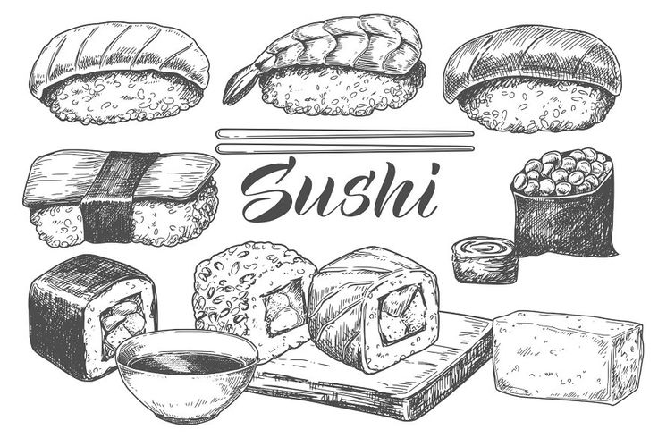 Vintage sushi set vector etching sushi drawing sunflower coloring pages sushi