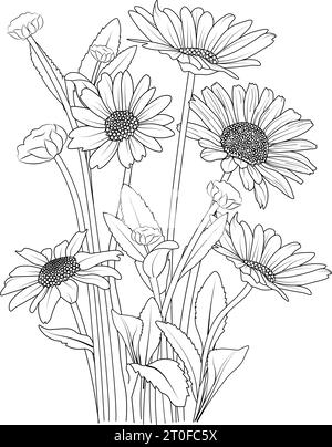 Daisy flower adult coloring book page design of black line drawing beautiful daisy flower bouquet stock vector image art