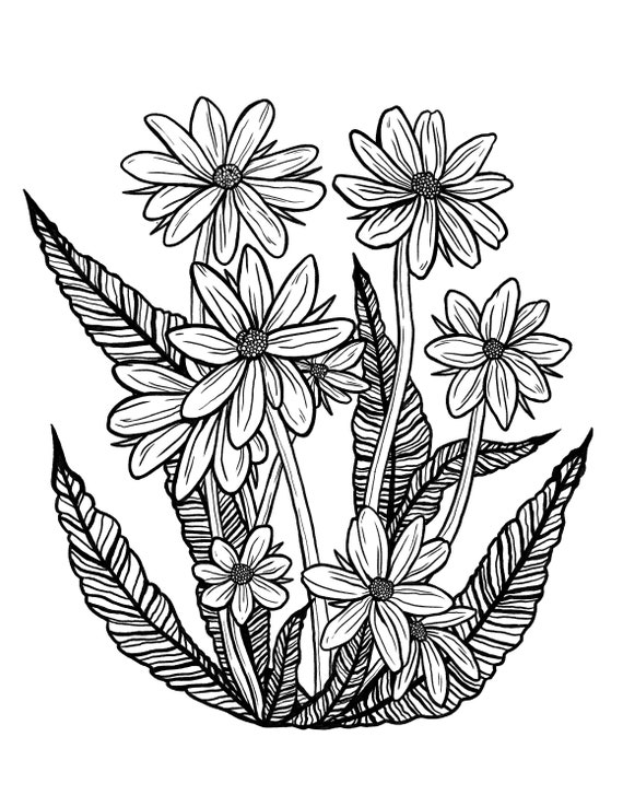 Crazy daisies digital coloring page for kids and adults instant download printable