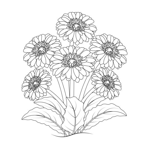 Daisy flower drawing kids coloring page with pencil line art design in detailed vector graphic stock illustration