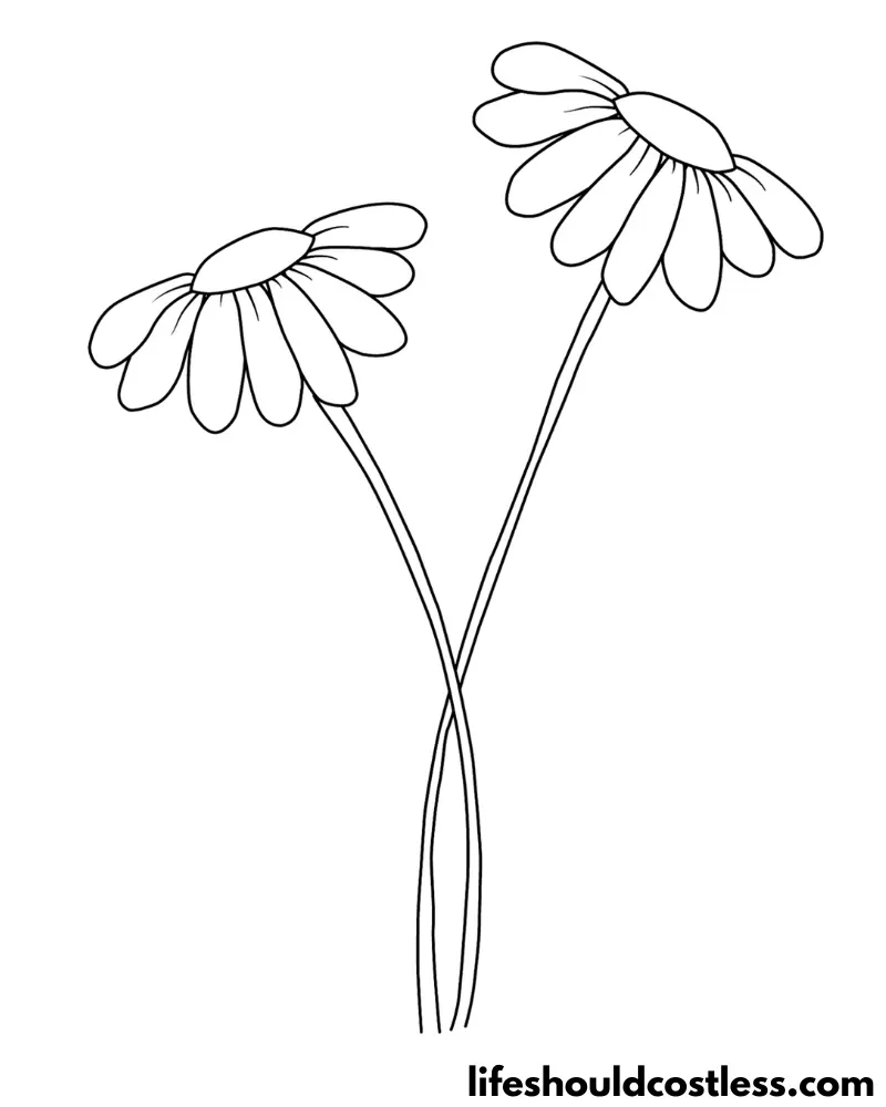Daisy coloring pages free printable pdf templates