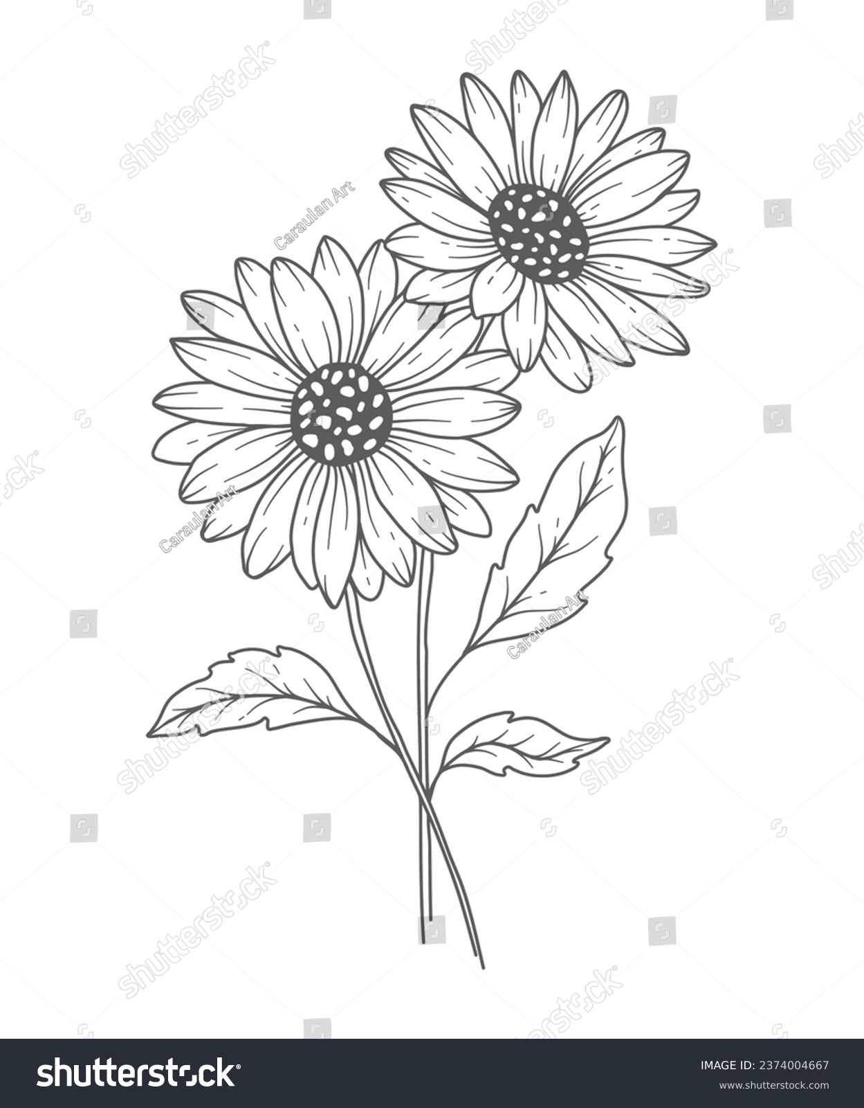 Daisy flower outline royalty
