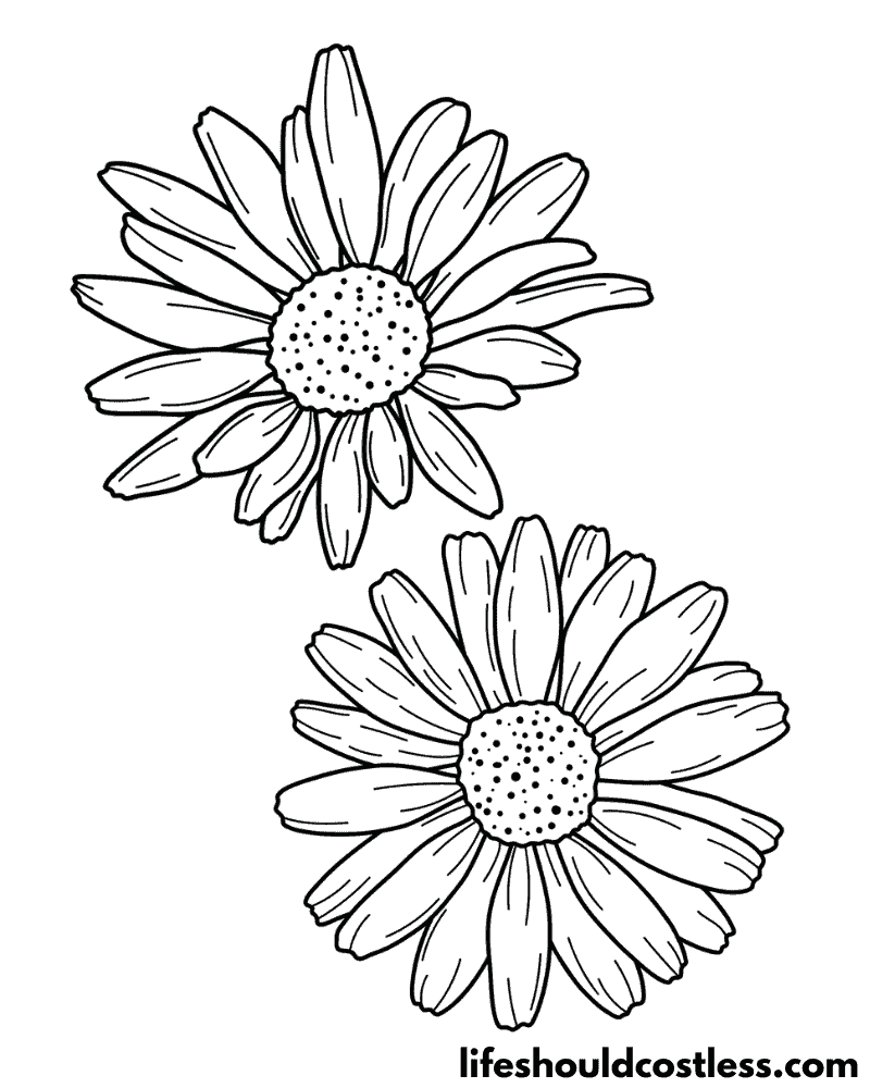 Daisy coloring pages free printable pdf templates
