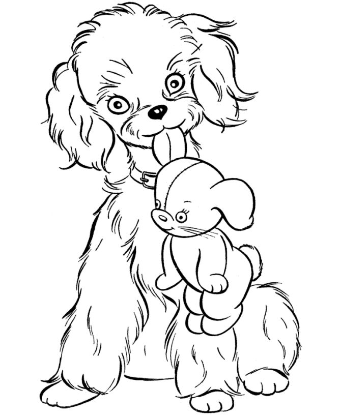 Pin on coloring