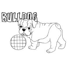 Top free printable dog coloring pages online puppy coloring pages dog coloring page horse coloring pages