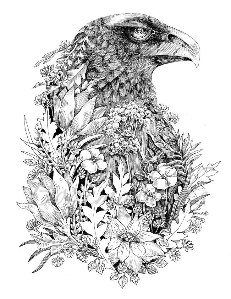Vintage classic coloring pages adult coloring book relaxing coloring pages digital pages animals flowers fairies and more