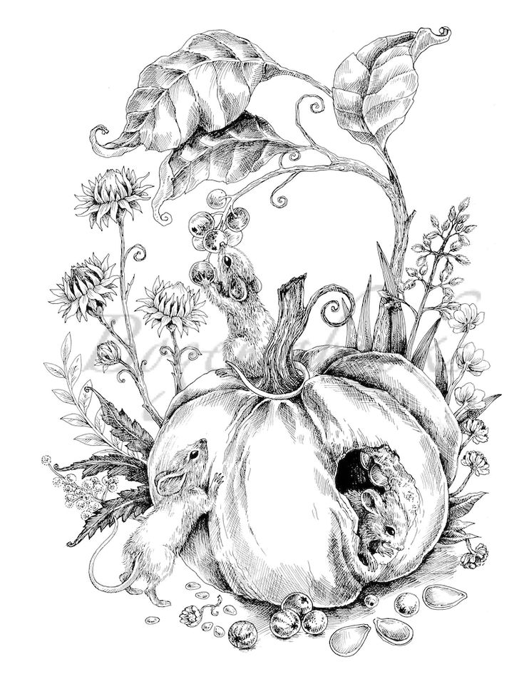 Vintage classic coloring pages adult coloring book relaxing coloring pages digital pages animals flowers fairies and more