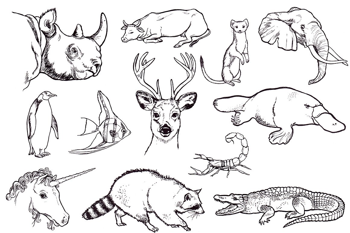 Vintage s illustrations