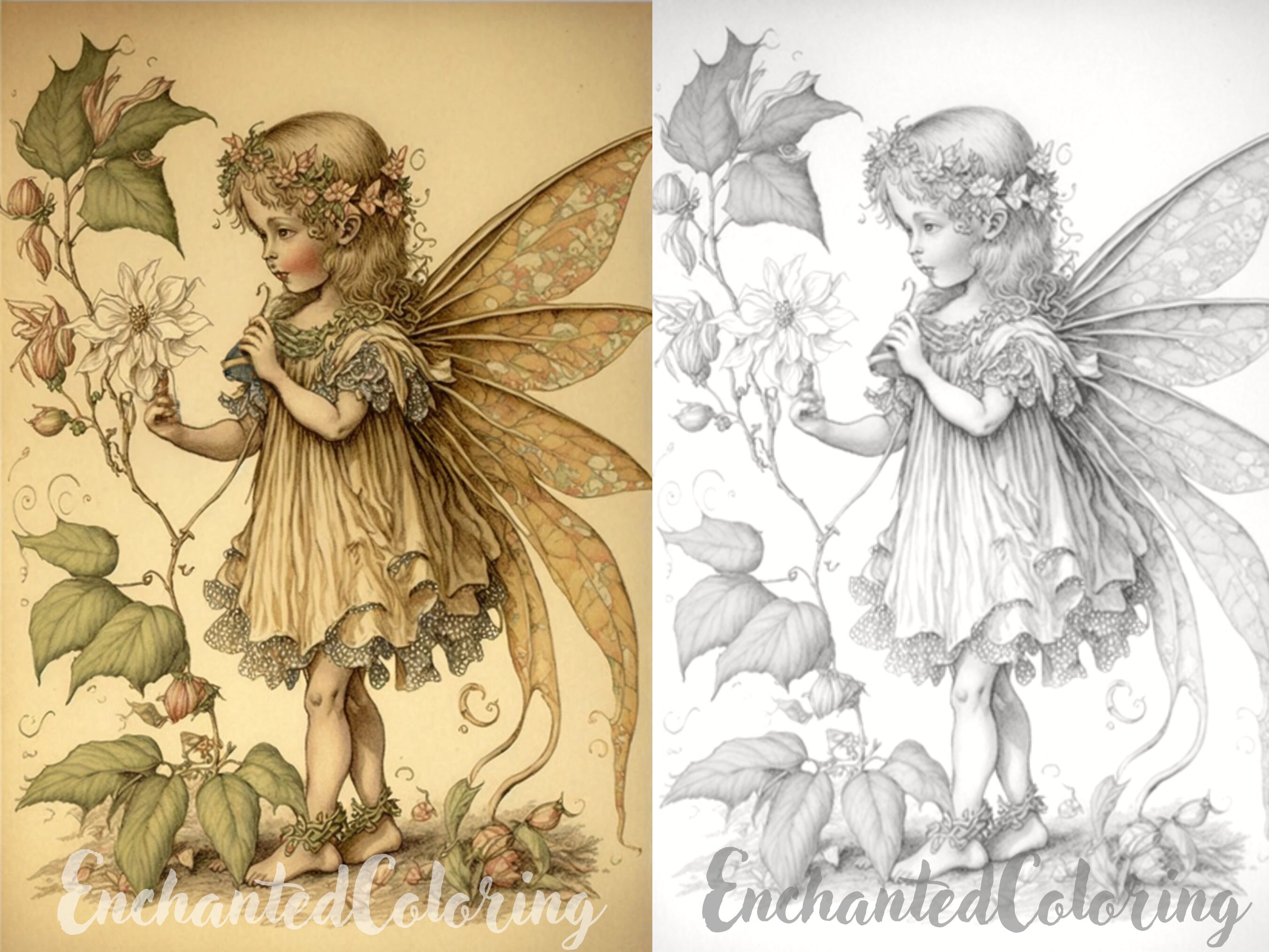 Spring fairy cicely mary barker inspired coloring page printable adult coloring pages book fantasy art greyscale illustration