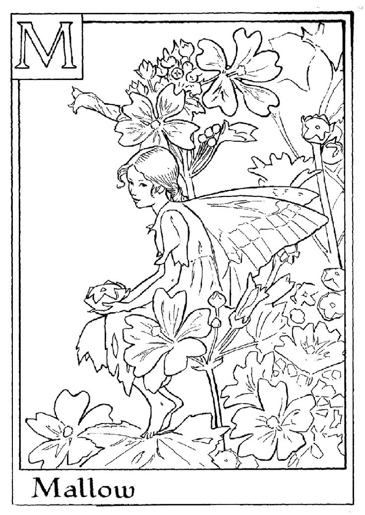Flower fairies coloring pages fairy coloring pages fairy coloring coloring pages