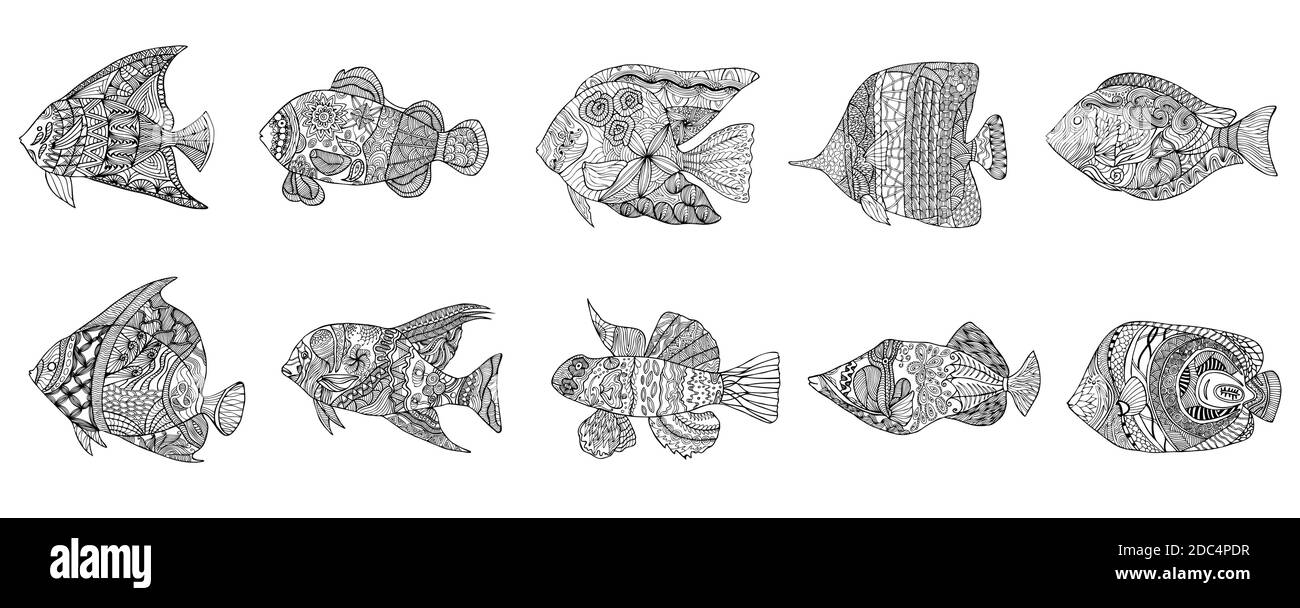 Set of hand stylized fish with doodle zentangle floral vintage elements with waved pattern frame coloring page for coloring book for adults isol stock vector image art