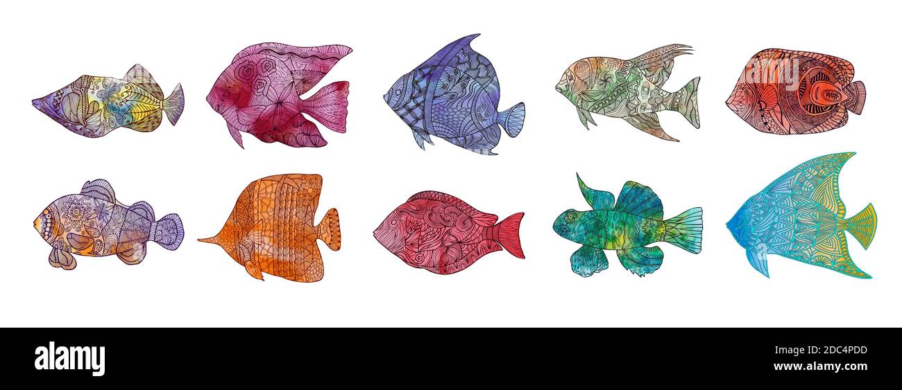 Set of colored hand stylized fish with doodle zentangle floral vintage elements with waved pattern frame coloring page for coloring book for adul stock vector image art