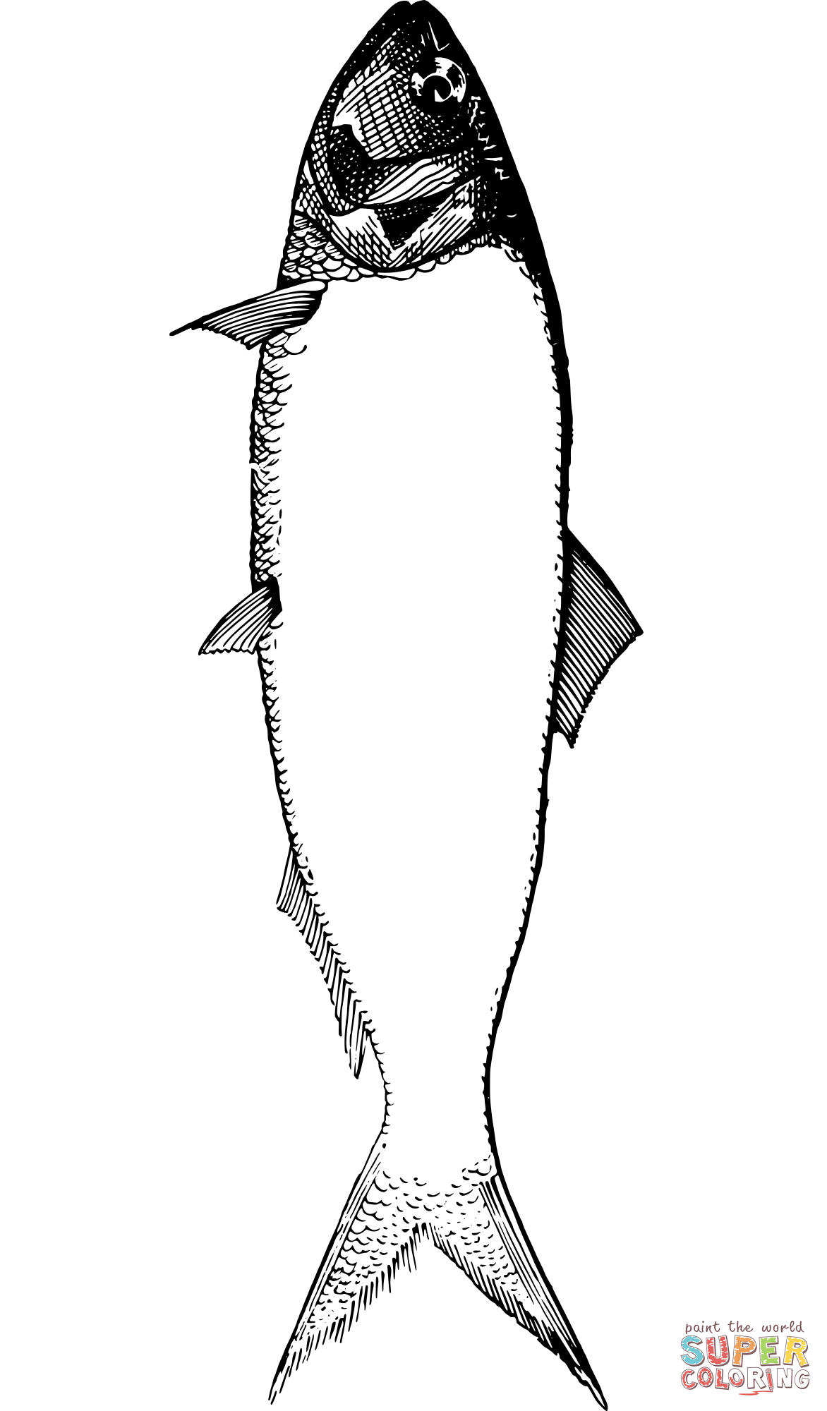 Vintage fish frame coloring page free printable coloring pages
