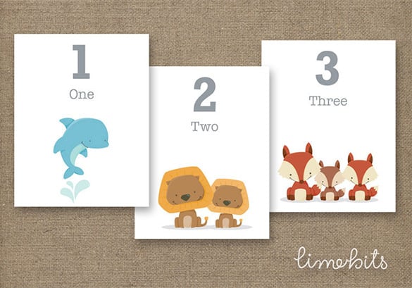 Flash card s