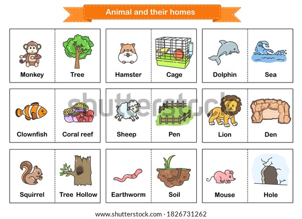 Animal their homes flash cards printable stock vector royalty free